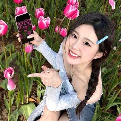 百日蔷薇