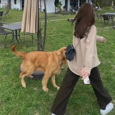 大无谓